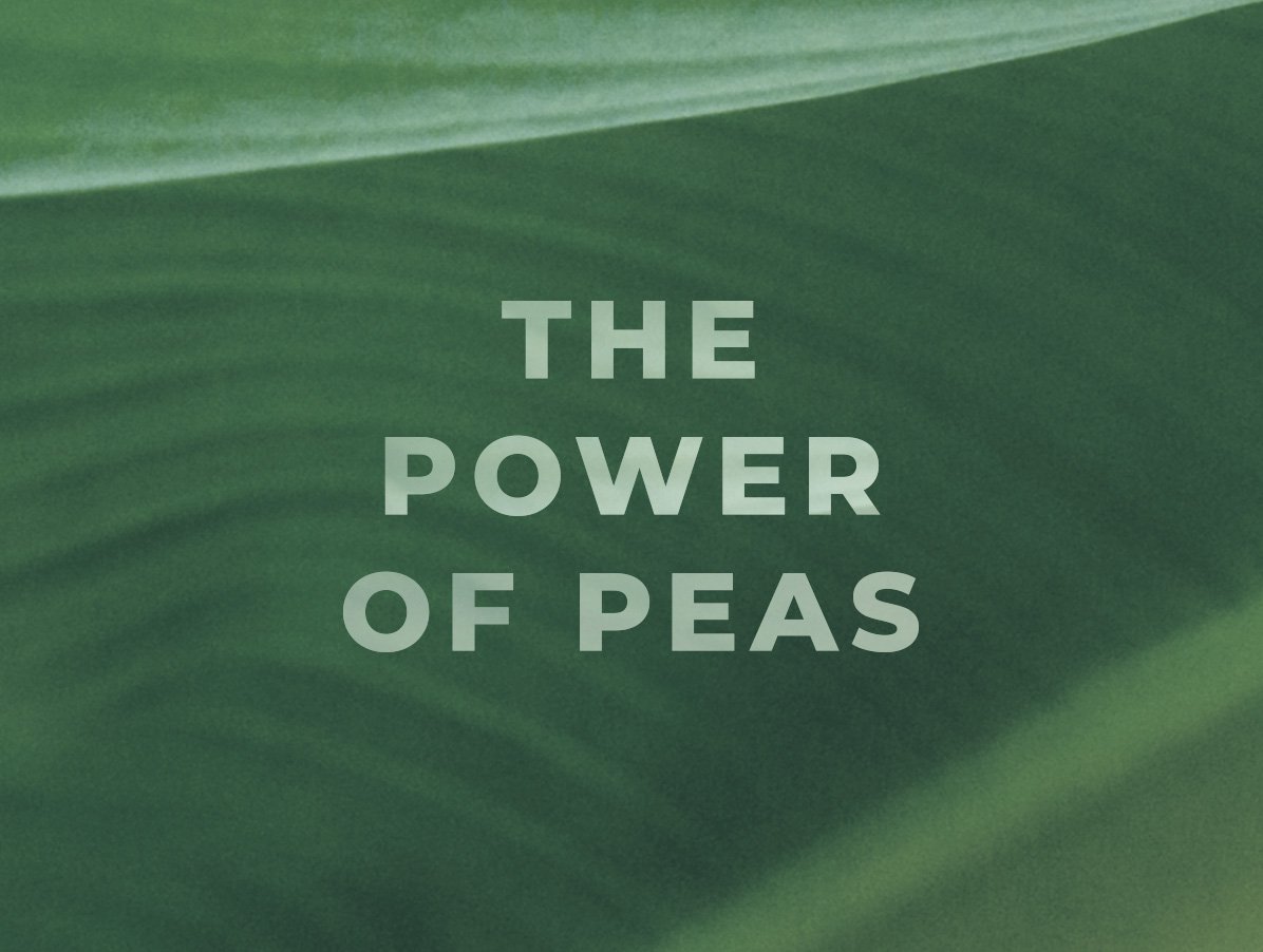 An image shows a zoomed in picture of green plant life. Text on top of the image reads “The Power of Peas