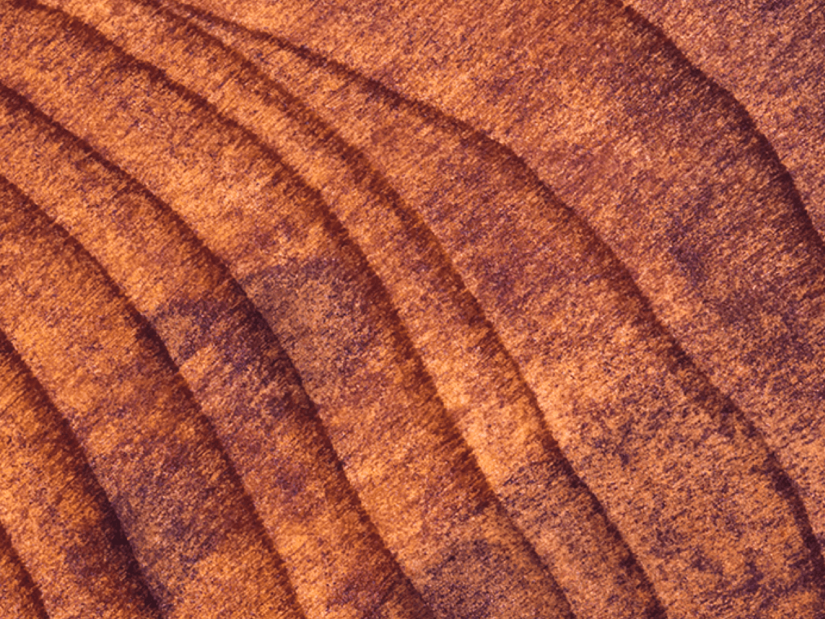 An Almond Cherry flavor protein bar is pictured in front of a very close up picture of tree rings, made to look like the close up texture of an almond.