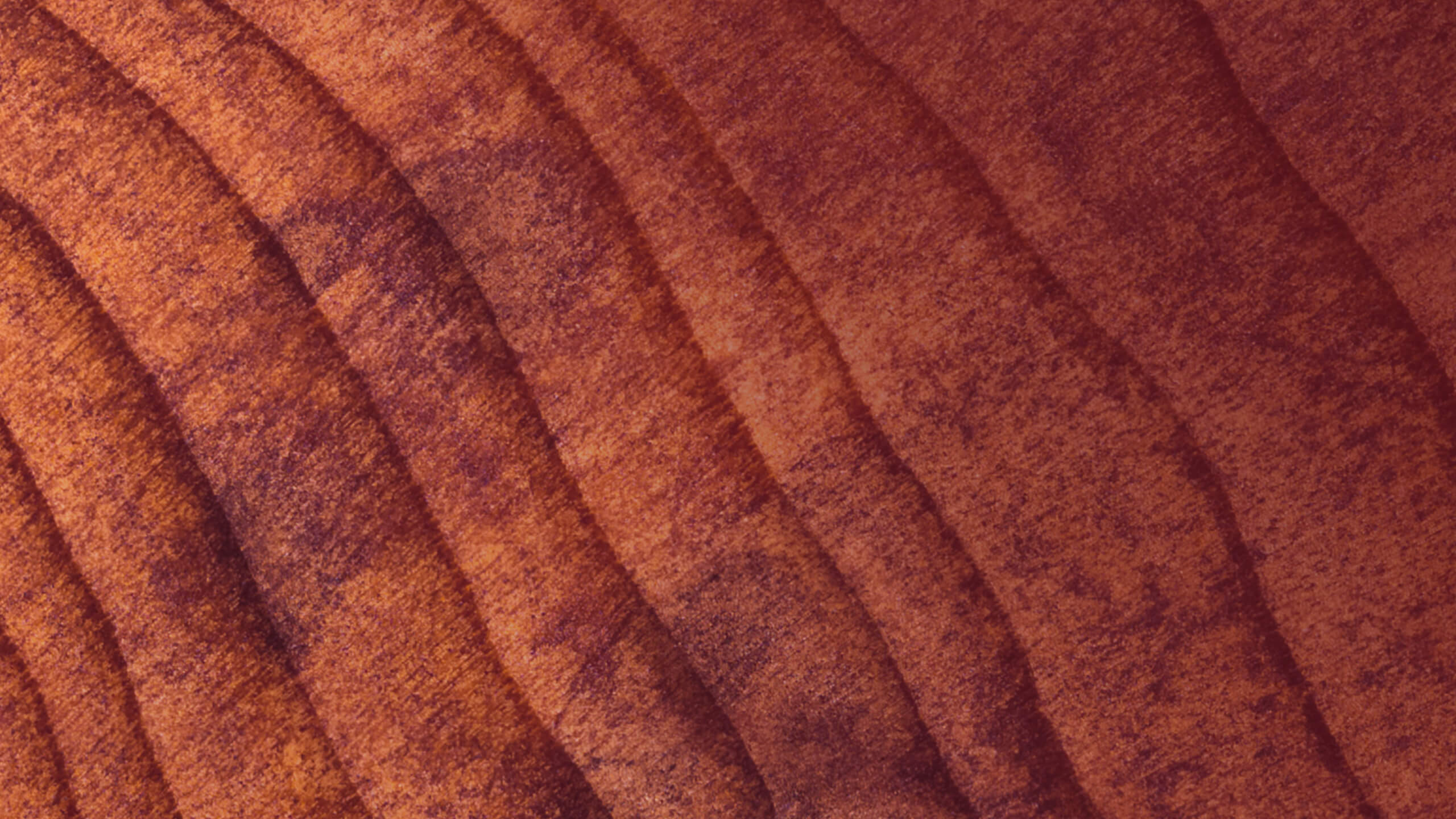 An Almond Cherry flavor protein bar is pictured in front of a close up picture of tree rings, made to look like the close up texture of an almond.